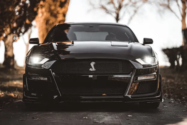 Pure Casino Android/iOS Forrit